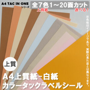 SHS--TS-A4_A4TACINONE-colorcoat-